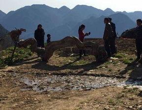 神龙下山,传奇归来，风云再起